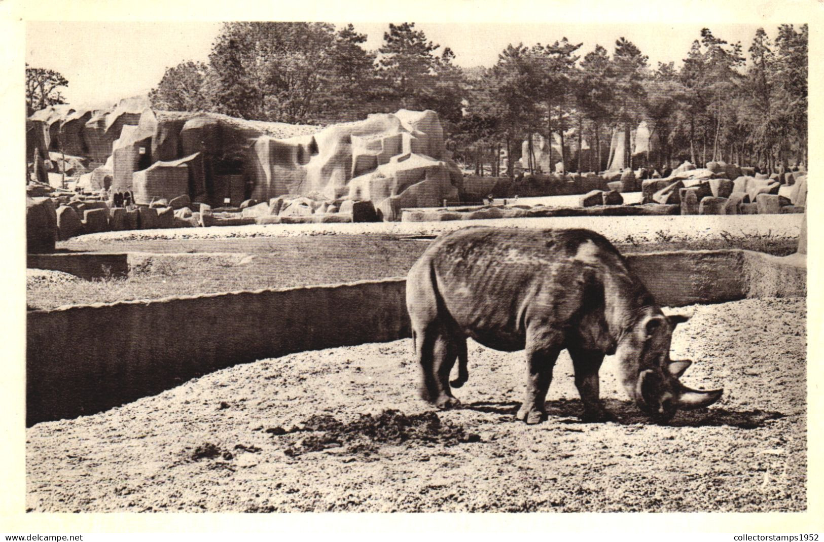 PARIS, BOIS DE VINCENNES, ZOO PARK, RHINOCEROS, FRANCE - Rhinocéros