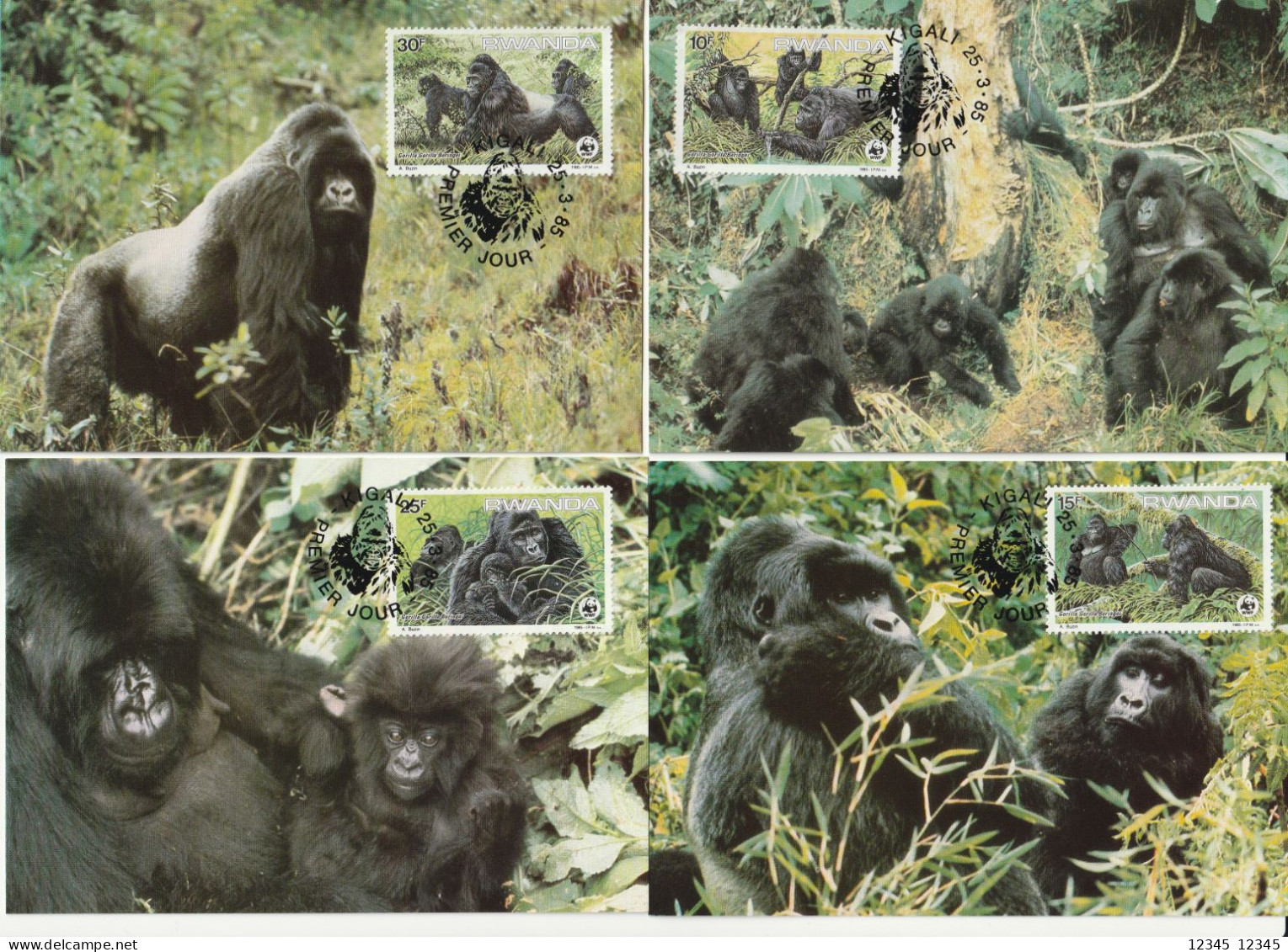 Rwanda 1985, Max. Card Unused, Mountain Gorilla - 1980-1989