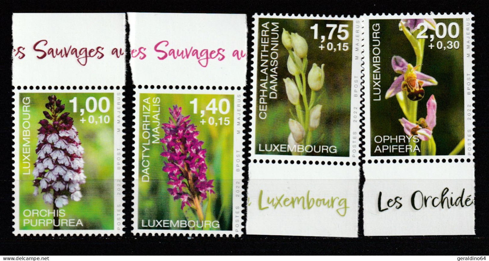 Luxemburg 2022 Blumen Orchideen Mi 2318 - 2321 ** Postfrisch MNH - Neufs