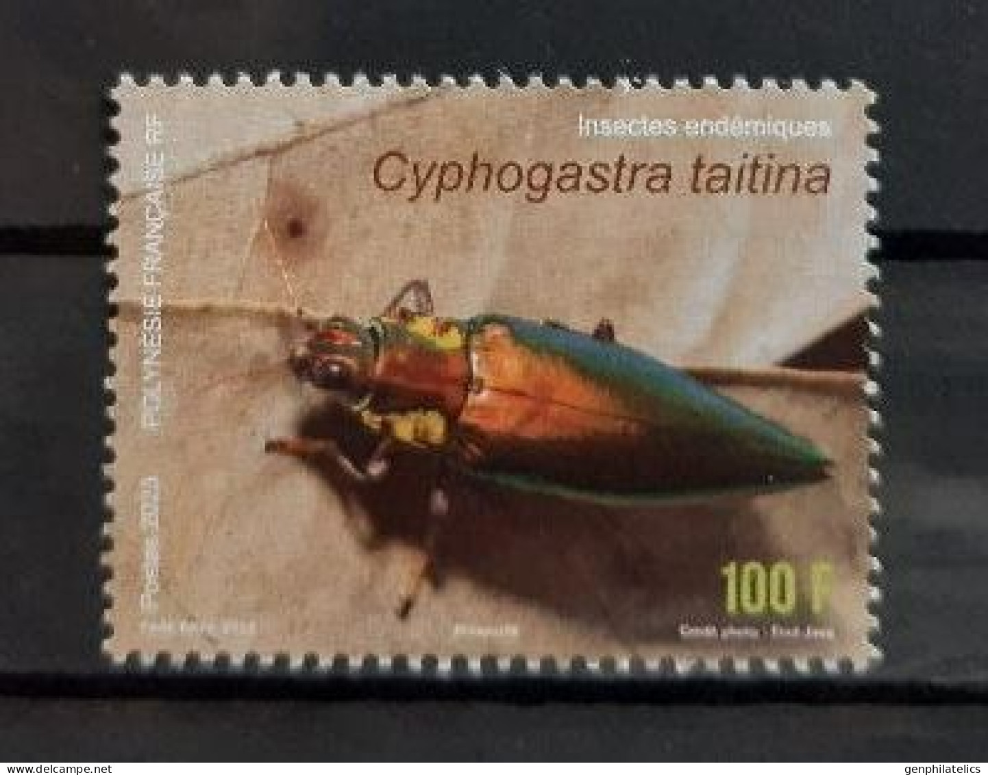 FRENCH POLYNESIA 2023 FAUNA Animals. Insects. Bugs BEETLE - Fine Stamp MNH - Unused Stamps