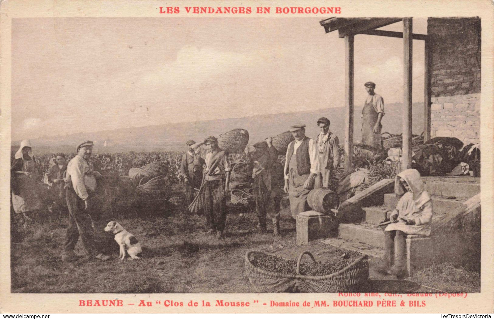 Métiers - Les Vendanges En Bourgogne - Animé - Beaune - Au Clos De La Mousse - Publicité - Carte Postale Ancienne - Paysans