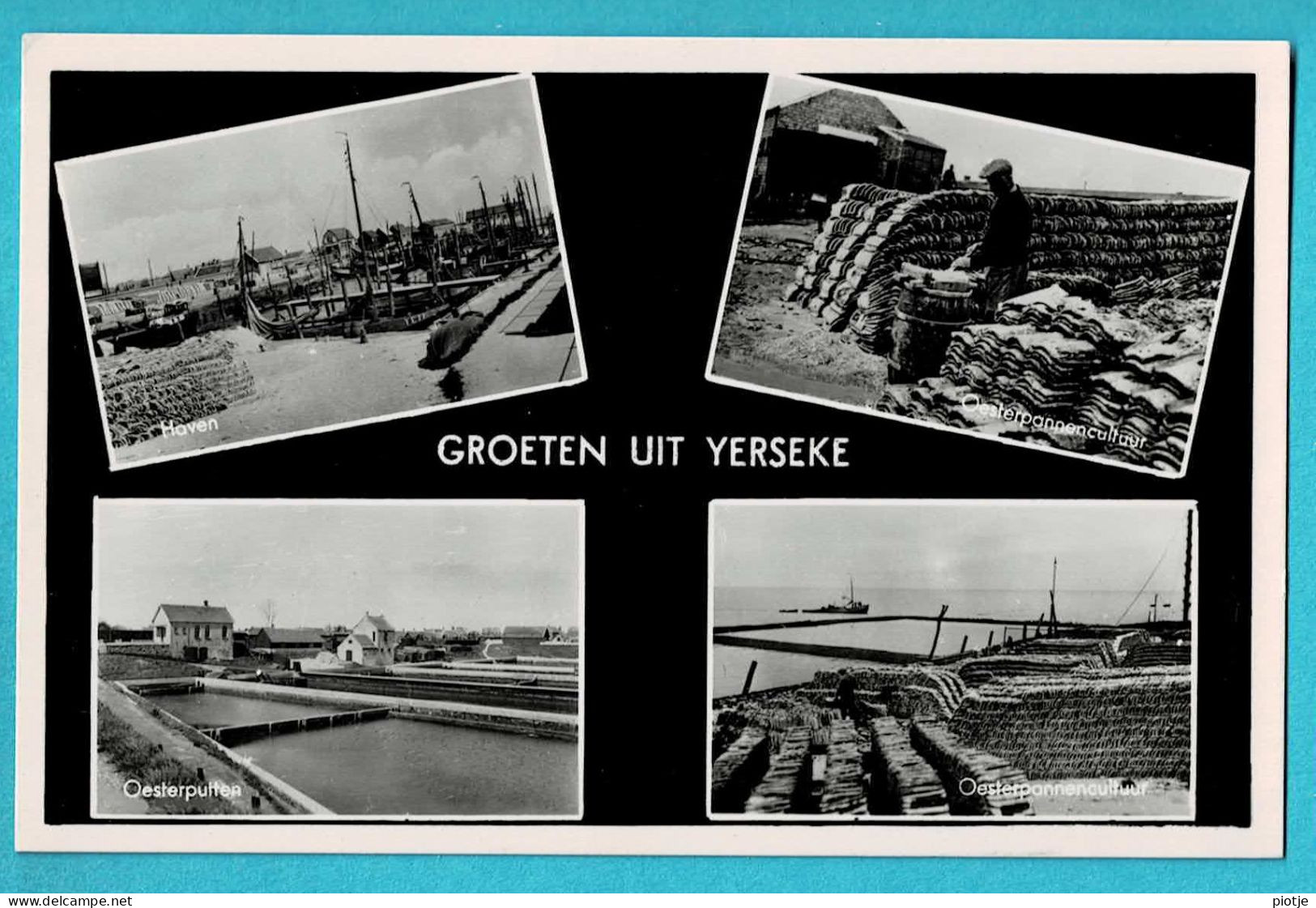 * Yerseke (Zeeland - Nederland) * (nr 21 - E 341) Groeten Uit Yerseke, Bonjour De, Oesterputten, Oesterpannen Cultuur - Yerseke