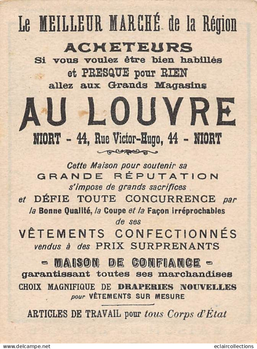 Image        49         Devinette  .Maison Du Louvre Niort   2 Pigeons  Où Est Le Second ?  11x8.5         (voir Scan) - Sonstige & Ohne Zuordnung