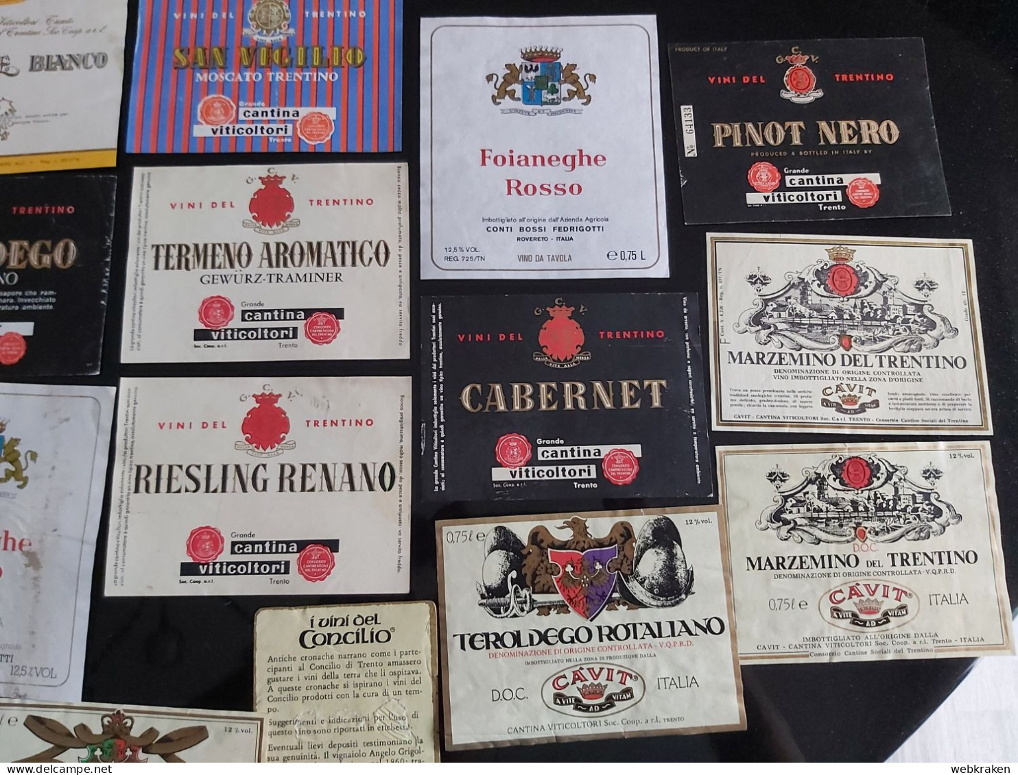 LOTTO ETICHETTE VINI ITALIANI TRENTINO ALTO ADIGE ITALIAN VINE LABELS - Collections, Lots & Séries