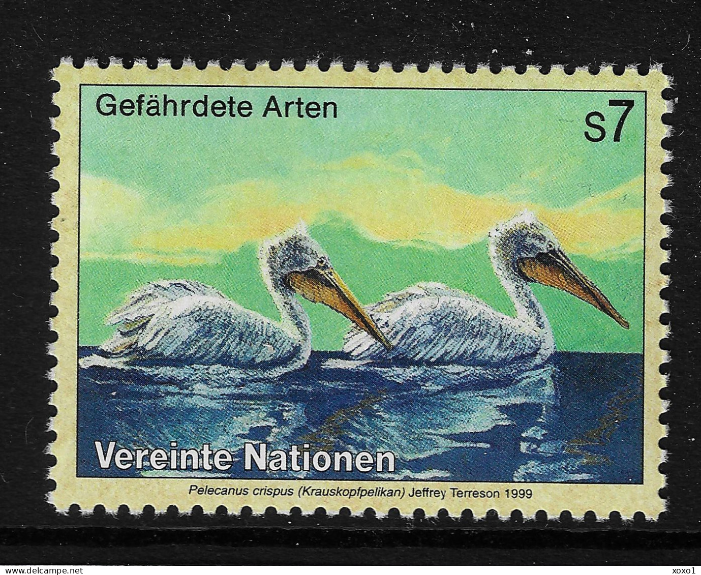 United Nations 1999 MiNr. 288 Vienna - VI BIRDS The Dalmatian Pelican (Pelecanus Crispus) 1v MNH** 1.00 € - Pélicans