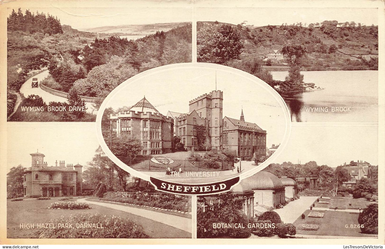 ROYAUME UNI - Angleterre - Sheffield - Botanical Gardens - Multi Vues - Carte Postale Ancienne - Sheffield