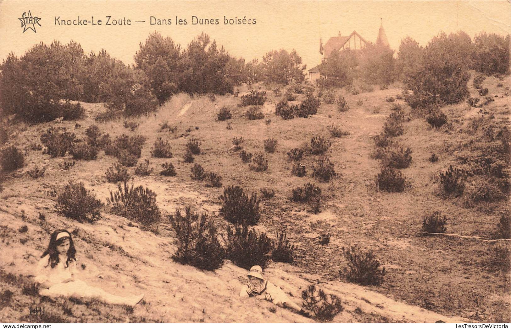BELGIQUE - Knocke Le Zoute - Dans Les Dunes Boisées - Carte Postale Ancienne - Knokke