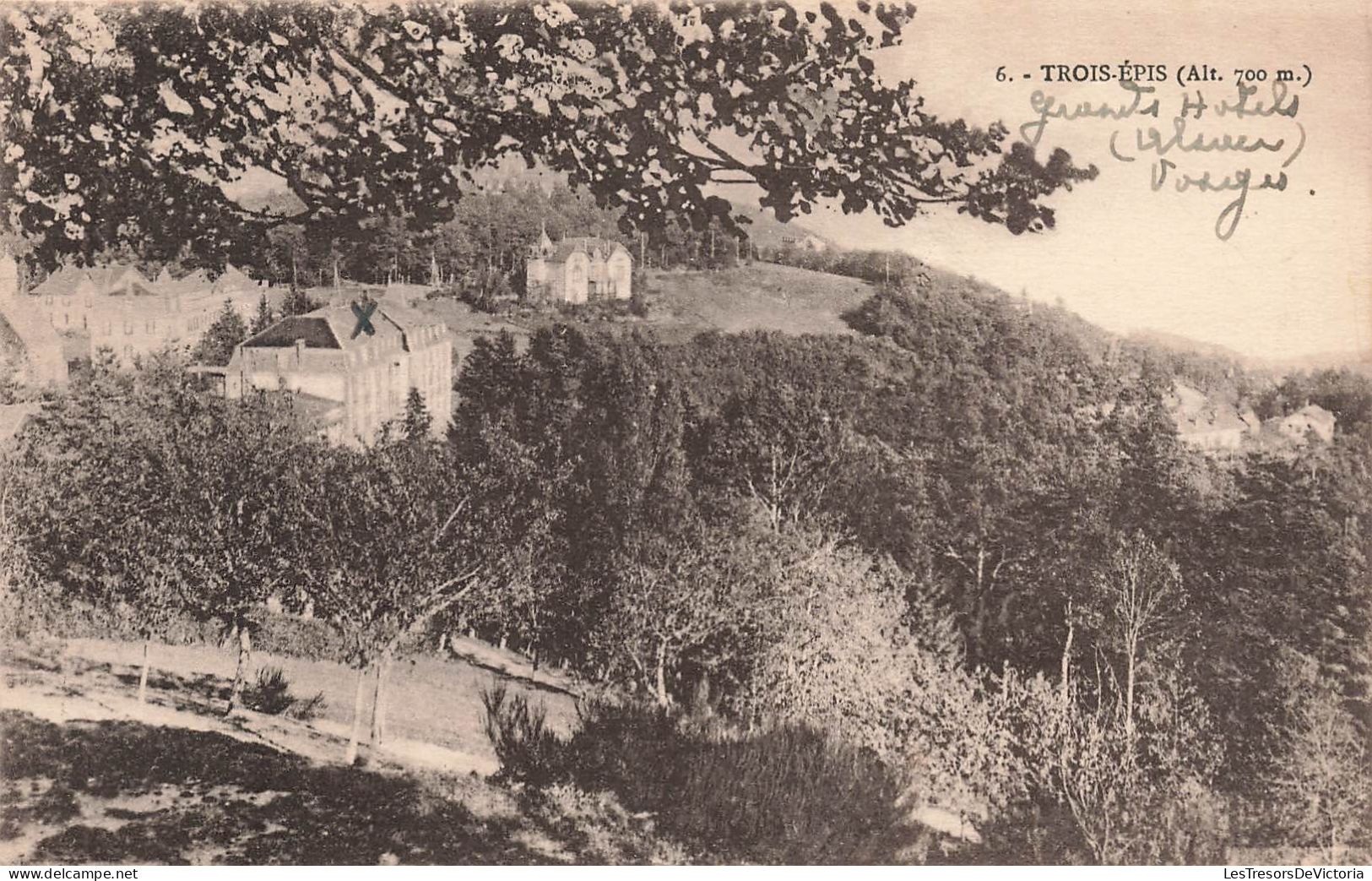 FRANCE - Vosges - Grands Hôtels - Trois Epis (Alt 700m) - Carte Postale Ancienne - Trois-Epis