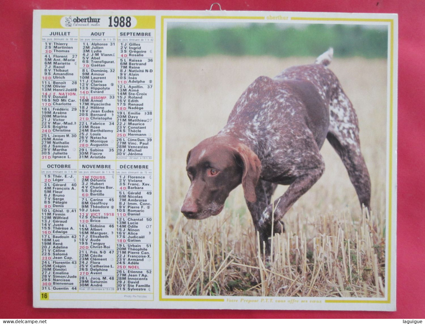 LOT 11 CALENDRIERS ALMANACHS  De 1983 à 2007 LAVIGNE OBERTHUR Sur La  CHASSE Et La  PÊCHE - Grossformat : 1981-90