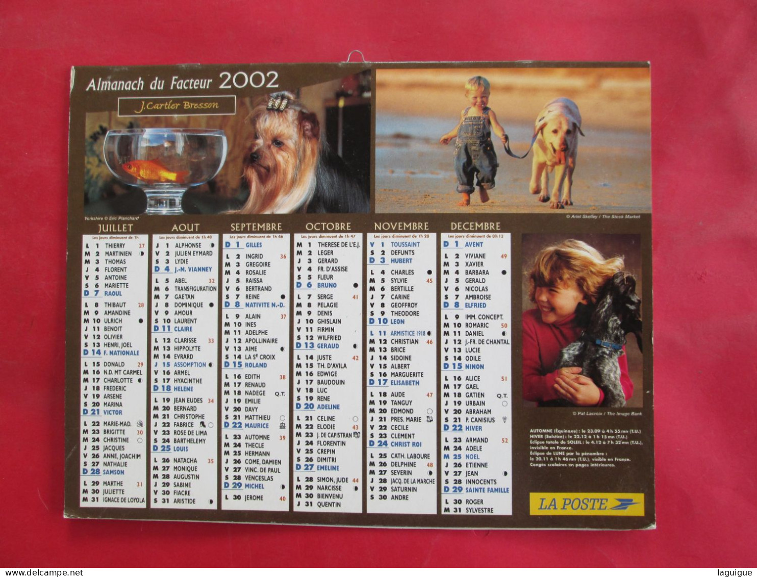 LOT DE 31 CALENDRIERS ALMANACHS de 1982 à 2016  CHIEN, CHAT, POUSSIN LAVIGNE OBERTHUR OLLER