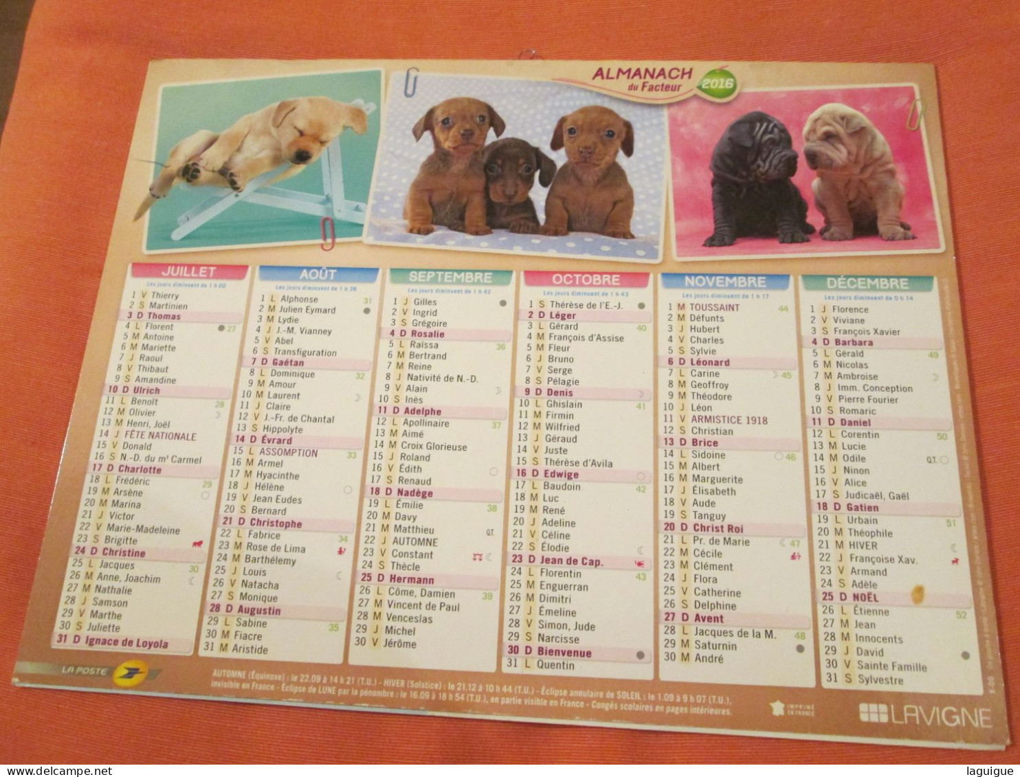 LOT DE 31 CALENDRIERS ALMANACHS de 1982 à 2016  CHIEN, CHAT, POUSSIN LAVIGNE OBERTHUR OLLER