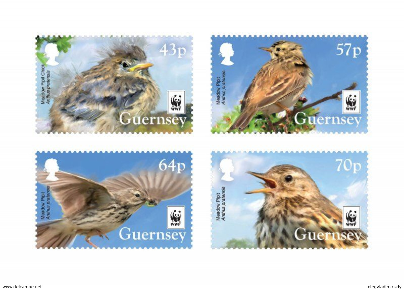 Guernsey 2017 WWF Rare Birds Anthus Pratensis Set Of 4 Stamps Mint - Moineaux