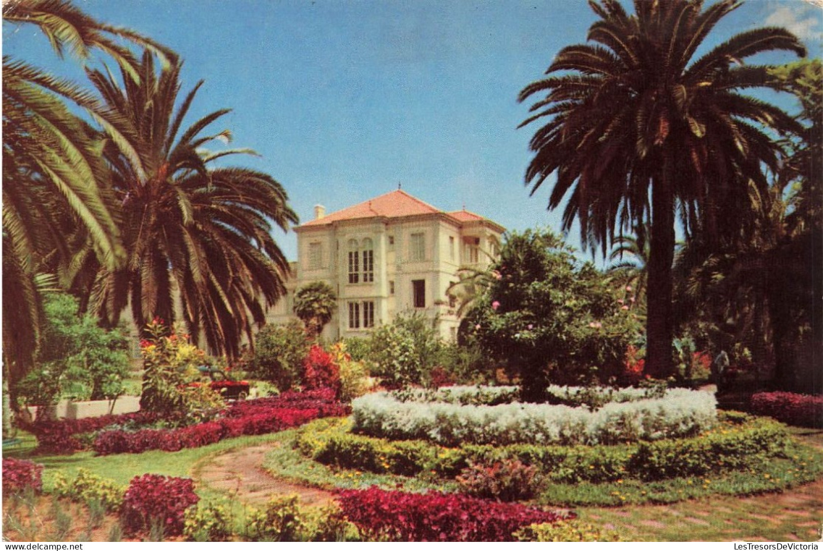 ESPAGNE - Puerto De La Cruz - Tenerife - Jardin De L'Hôtel Taoro - Carte Postale - Tenerife