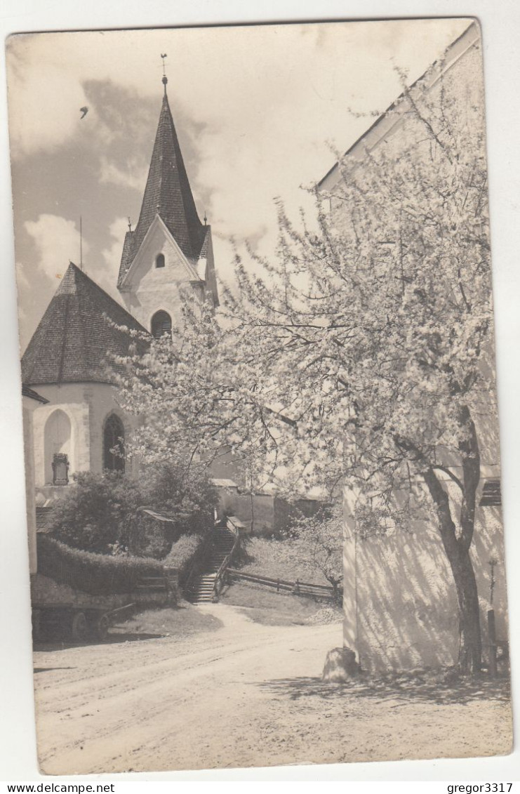 D7060) MITTERNDORF - Sehr Alte FOTO AK - Mit Blühendem Baum Straße U. KIRCHE 1930 - Bad Mitterndorf