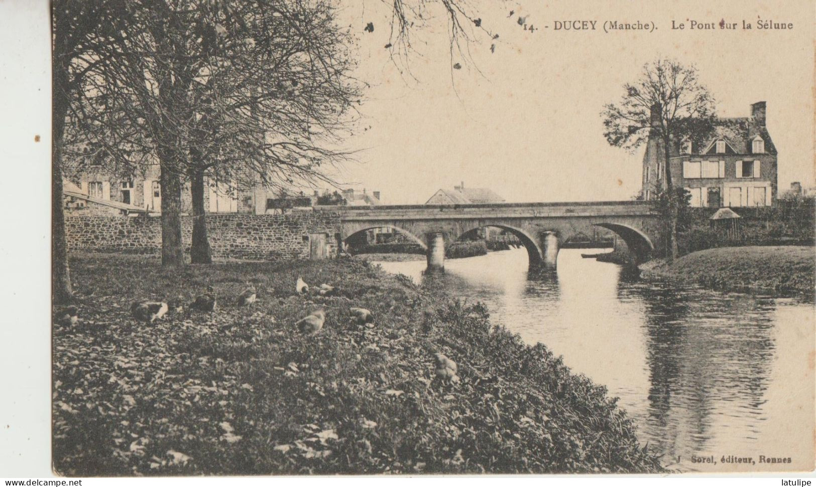 DUCEY  50  Carte Circulee  Le  Pont Sur La Selune - Ducey