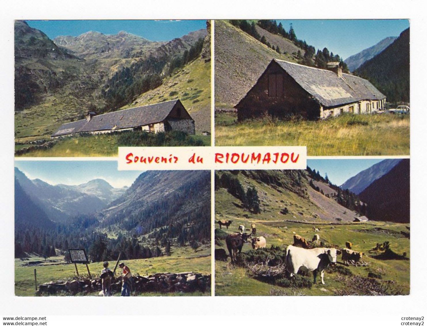 65 Vallée D'Aure N°392 Hospice Du RIOUMAJOU Ou RIEUMAJOU ? Montée Vers Le Port D'ORDISSETOU Troupeau De Vaches - Vielle Aure