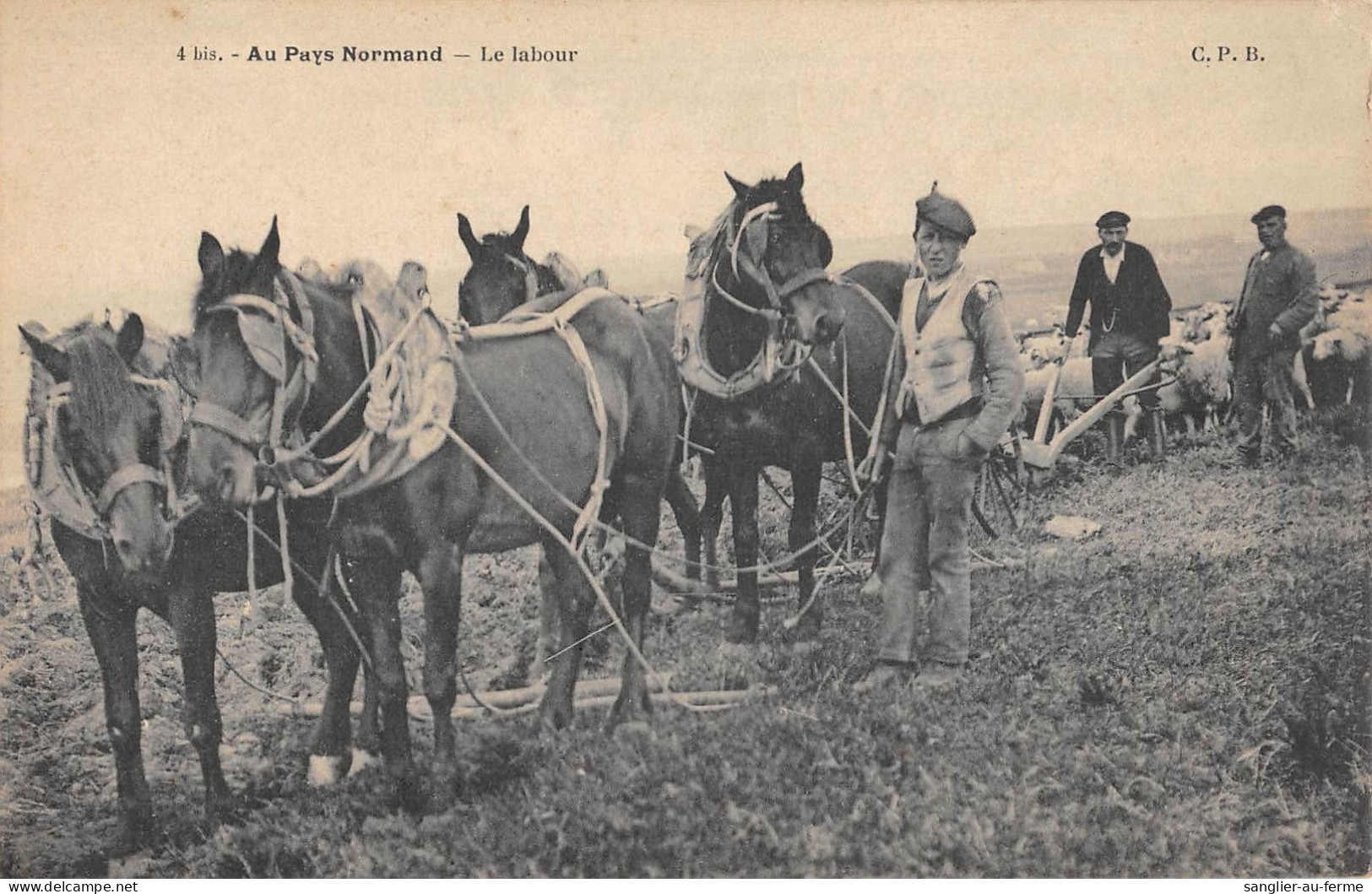 CPA 76 AU PAYS NORMAND / LE LABOUR - Autres & Non Classés