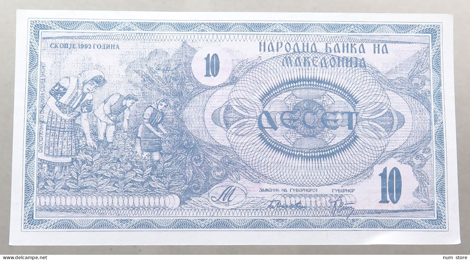 MACEDONIA 10 DENARS 1992 TOP #alb050 1079 - Macédoine Du Nord