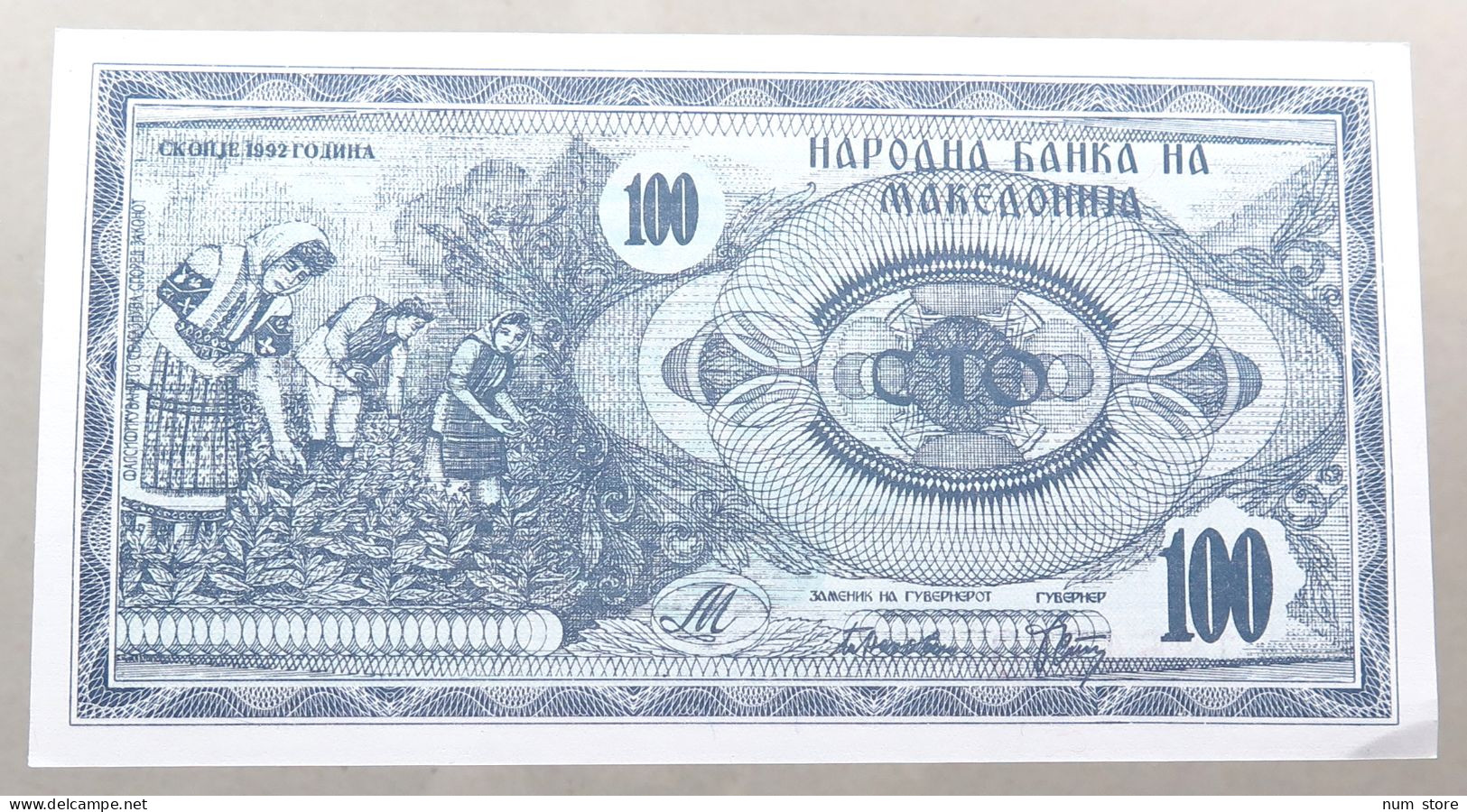 MACEDONIA 100 DENARS 1992 TOP #alb050 1029 - Macédoine Du Nord