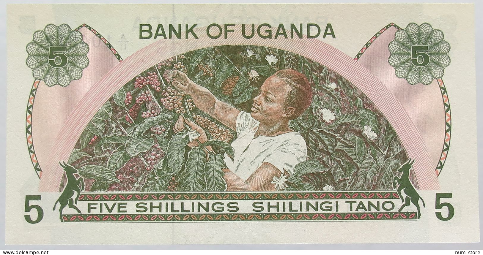 UGANDA 5 SHILLINGS 1982 TOP #alb016 0139 - Uganda