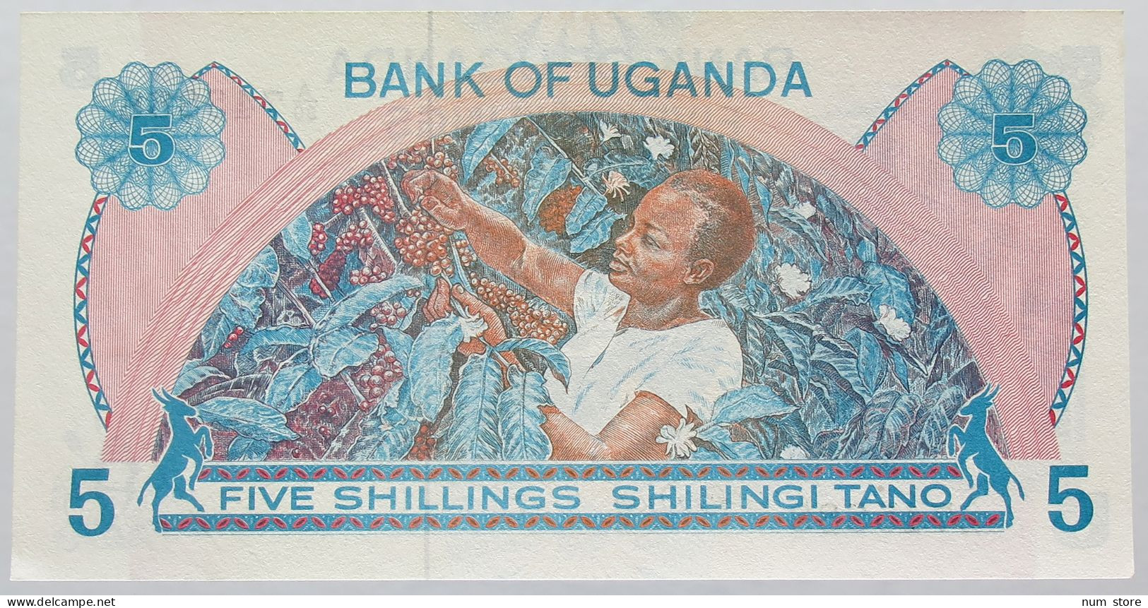 UGANDA 5 SHILLINGS 1982 TOP #alb016 0137 - Uganda