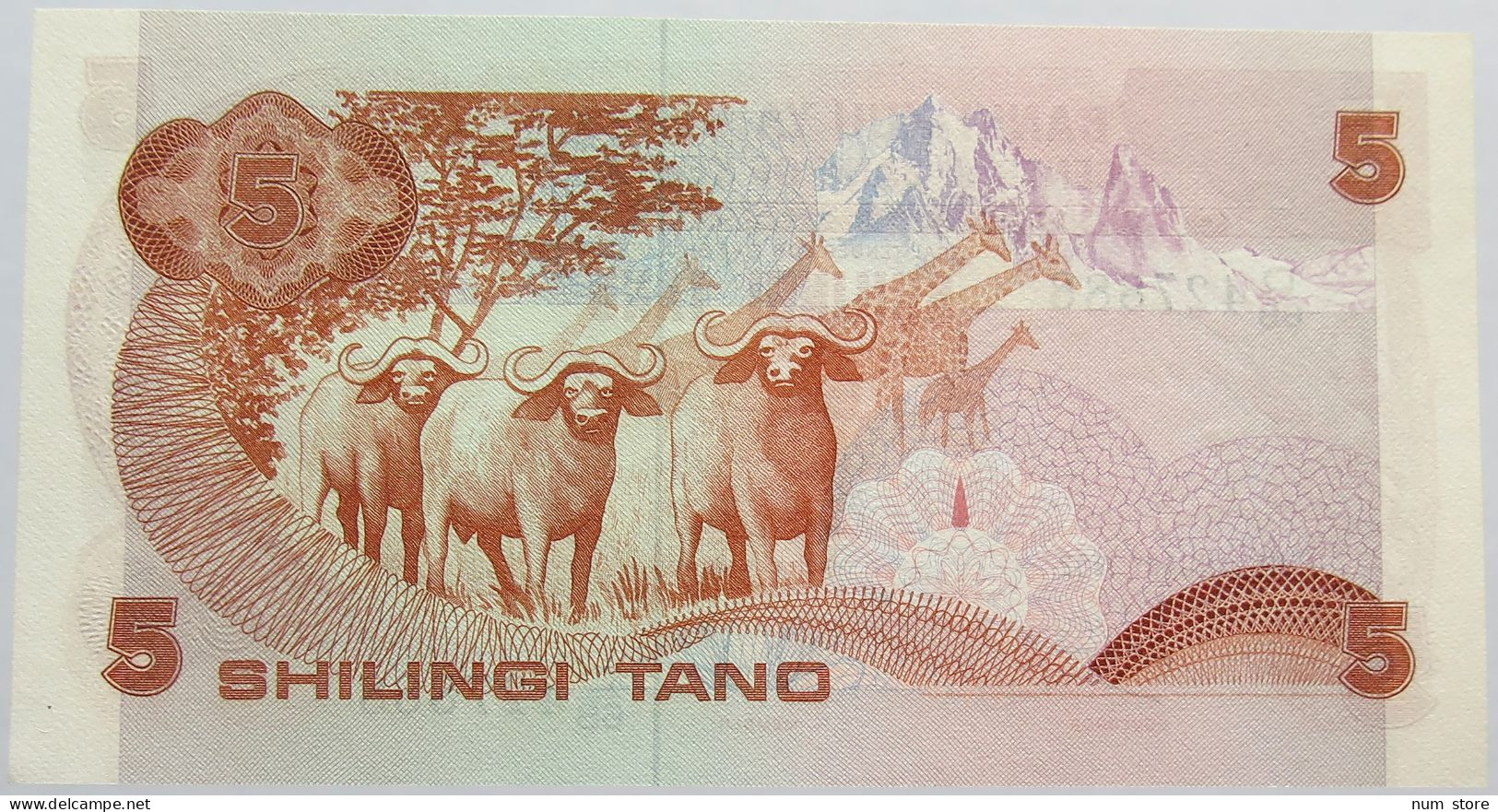 UGANDA 5 SHILLINGS 1982 #alb013 0233 - Ouganda