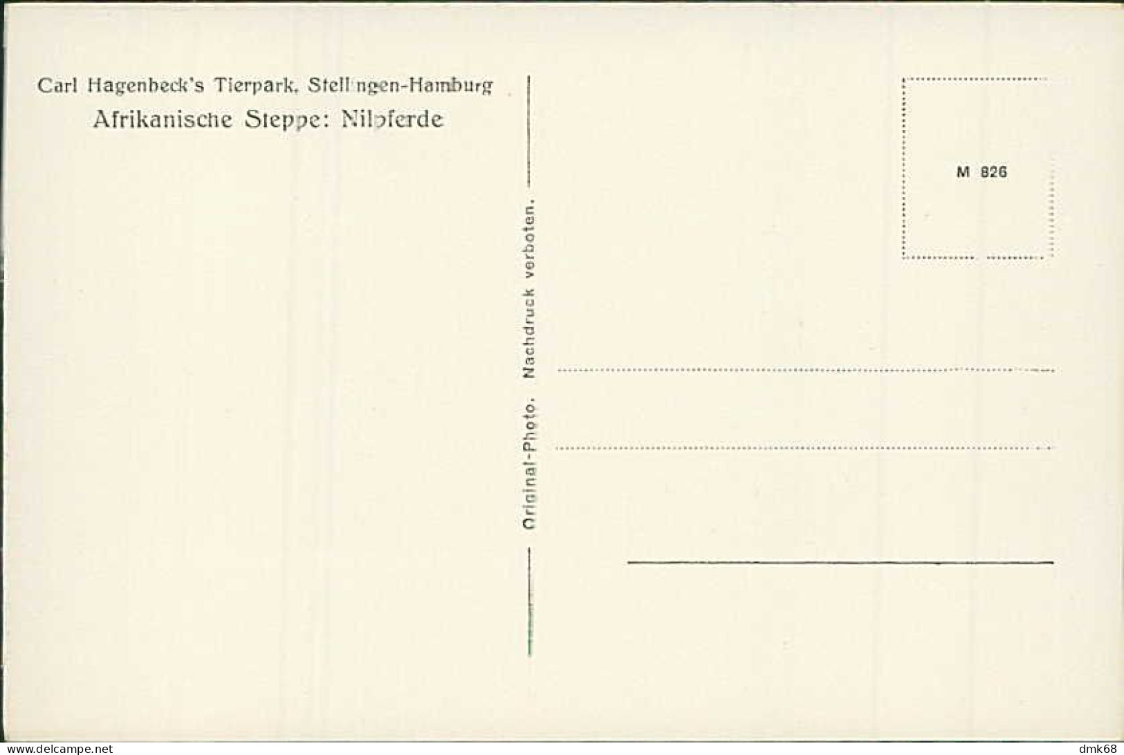 HAMBURG / STELLINGEN - CARL HAGENBECK'S TIERPARK - AFRICANISCHE STEPPE - NILPFERDE / HIPPOS -  1930s (16878) - Stellingen