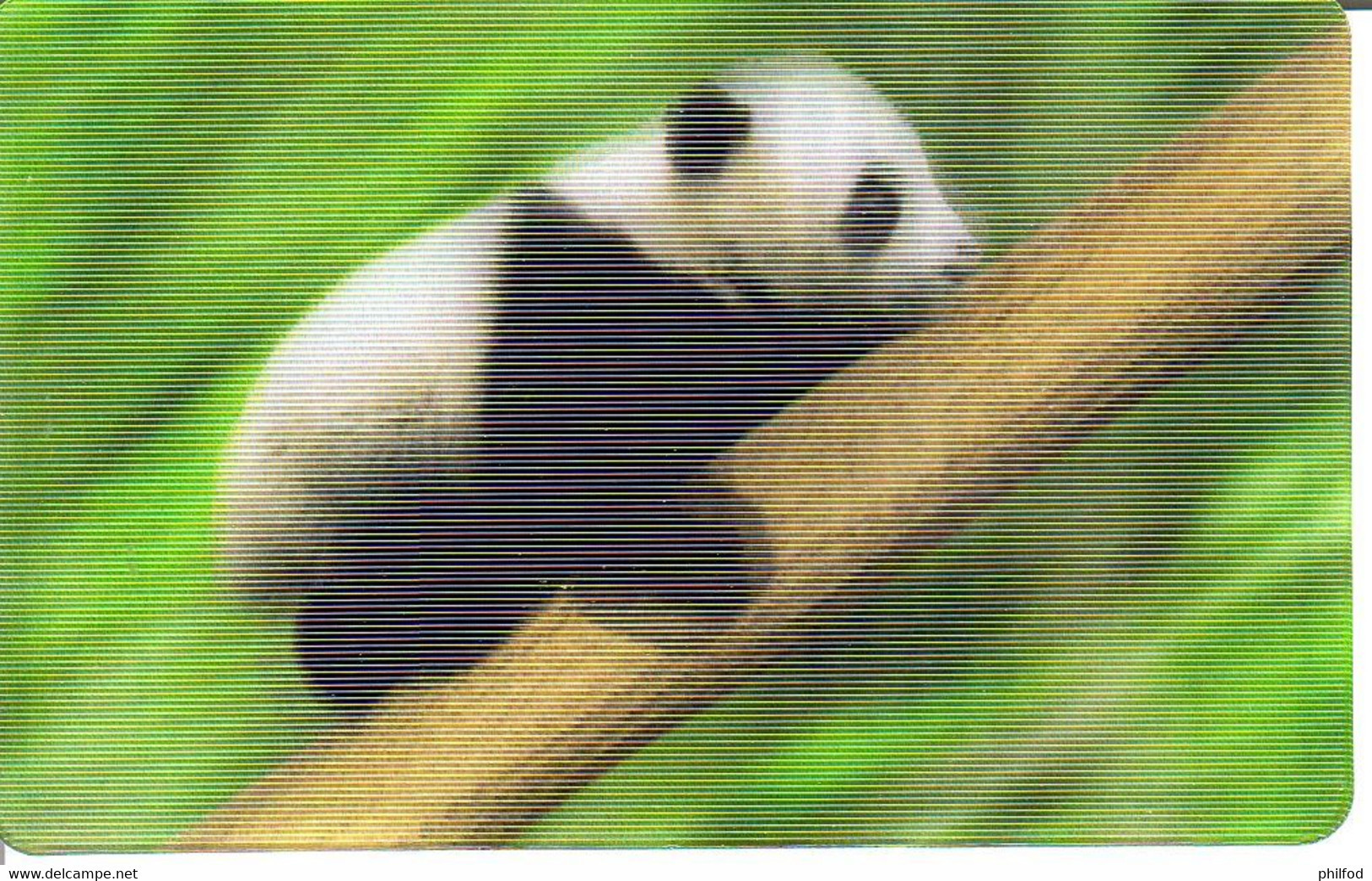 Carte Collector Animée Animaux (Cora / Match) : 6/44  : Panda - Autres & Non Classés