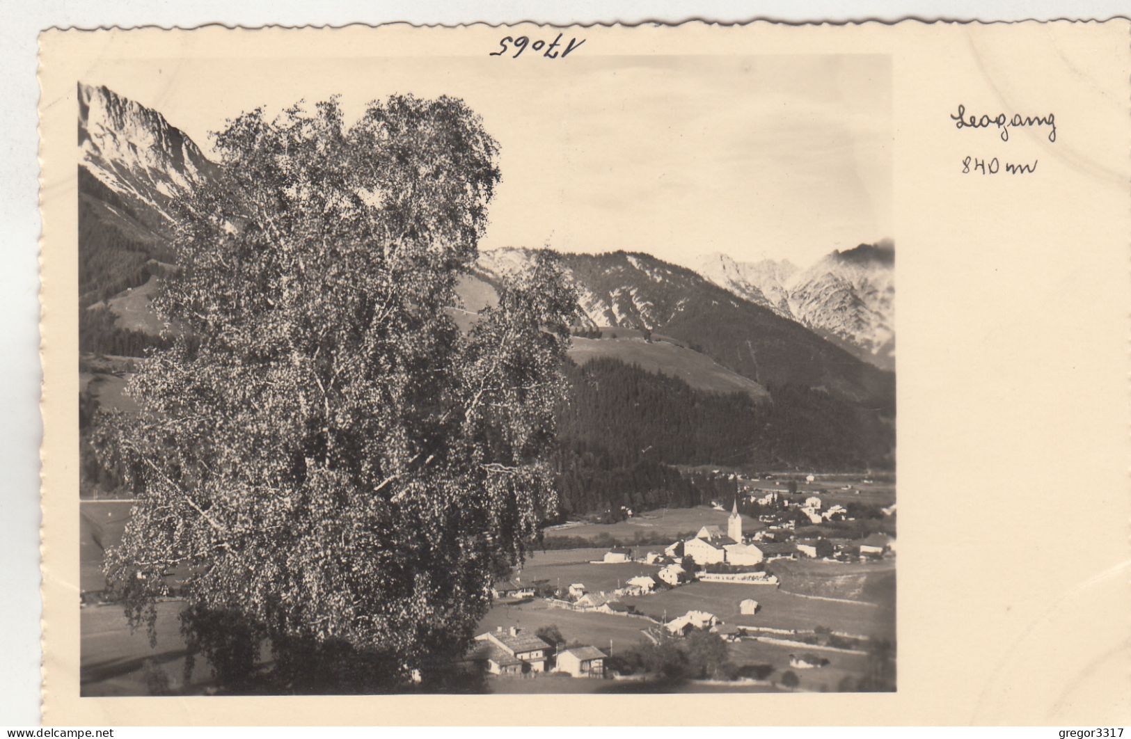 D7379) LEOGANG -840m - Alte FOTO AK - Baum - Blick Auf Häuser U. Kirche - Leogang