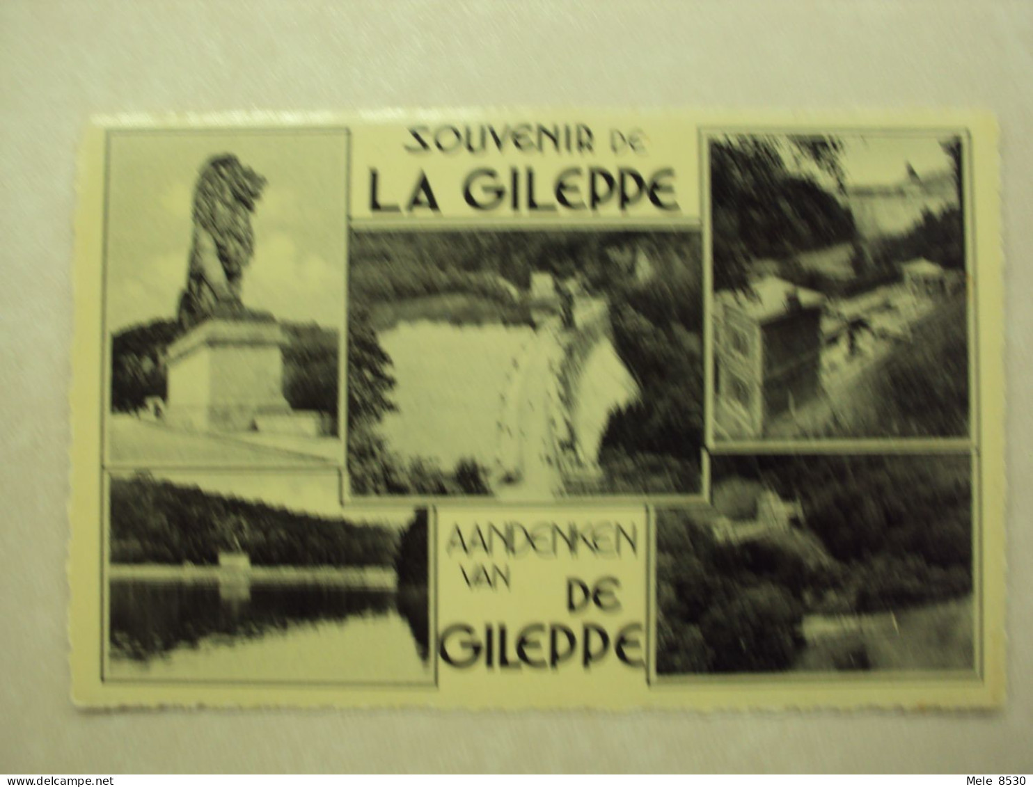 52673 - SOUVENIR DE LA GILEPPE - 5 ZICHTEN5 - ZIE 2 FOTO'S - Jalhay