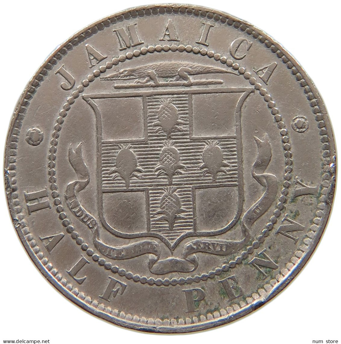 JAMAICA 1/2 PENNY 1888 Victoria 1837-1901 #a079 0471 - Jamaica