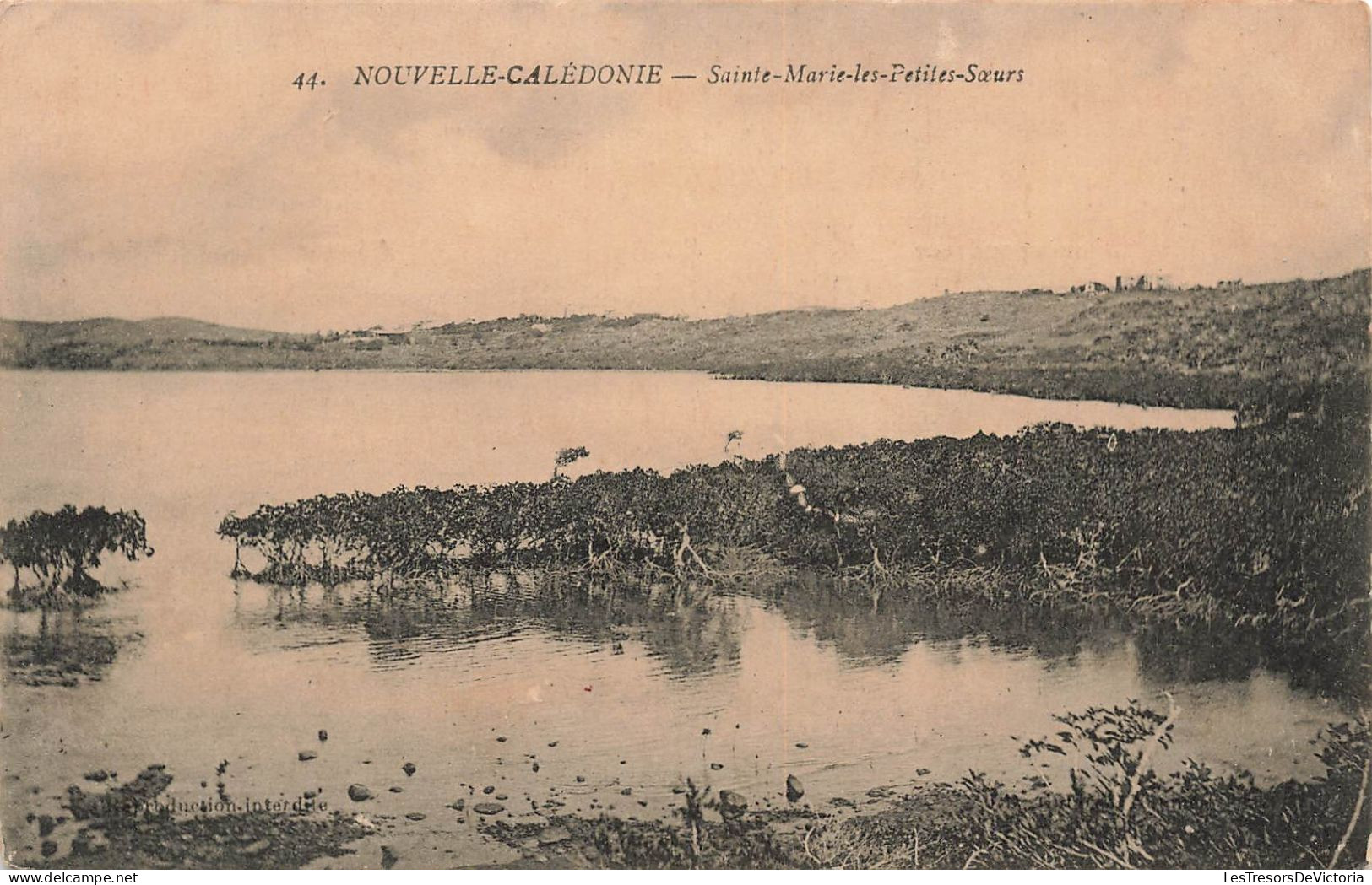 FRANCE - Nouvelle Calédonie - Sainte-Marie-les-petites-sœurs - Carte Postale Ancienne - Nouvelle Calédonie