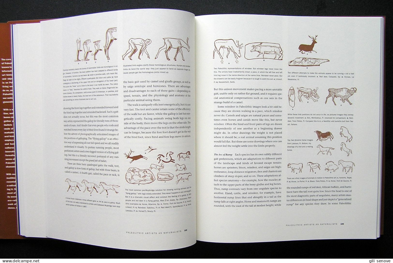 The Nature Of Paleolithic Art By R. Dale Guthrie 2005 - Culture