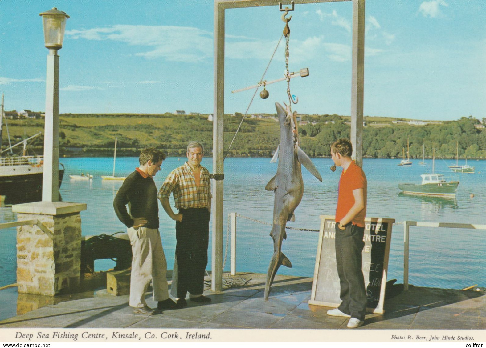 Irlande - Cork  -  Deep Sea Fishing Centre, Kinsale - Cork