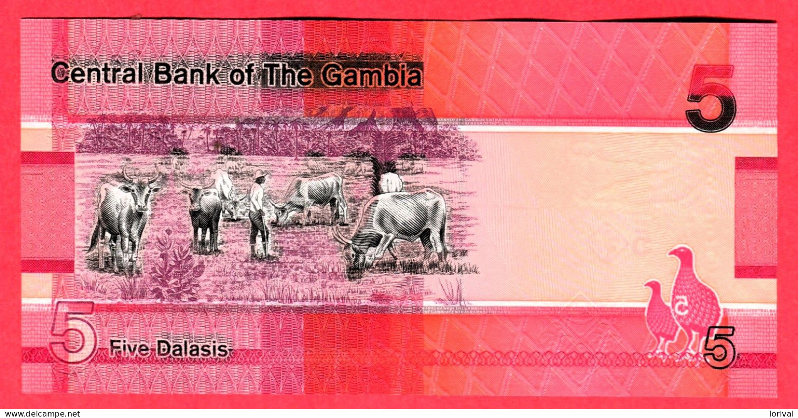 5 Dalasis Neuf 3 Euros - Gambia