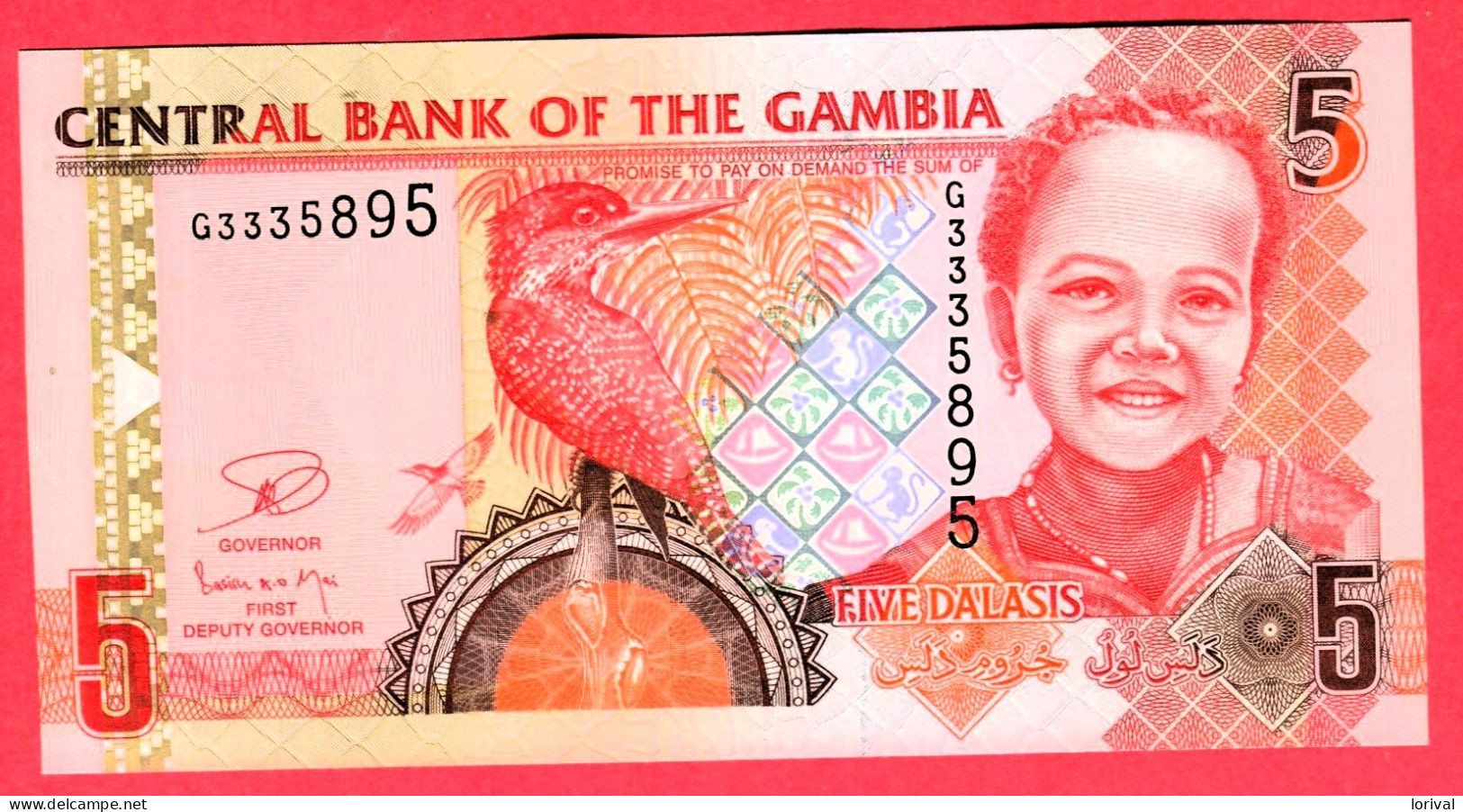 5 Dalasis Neuf 3 Euros - Gambia