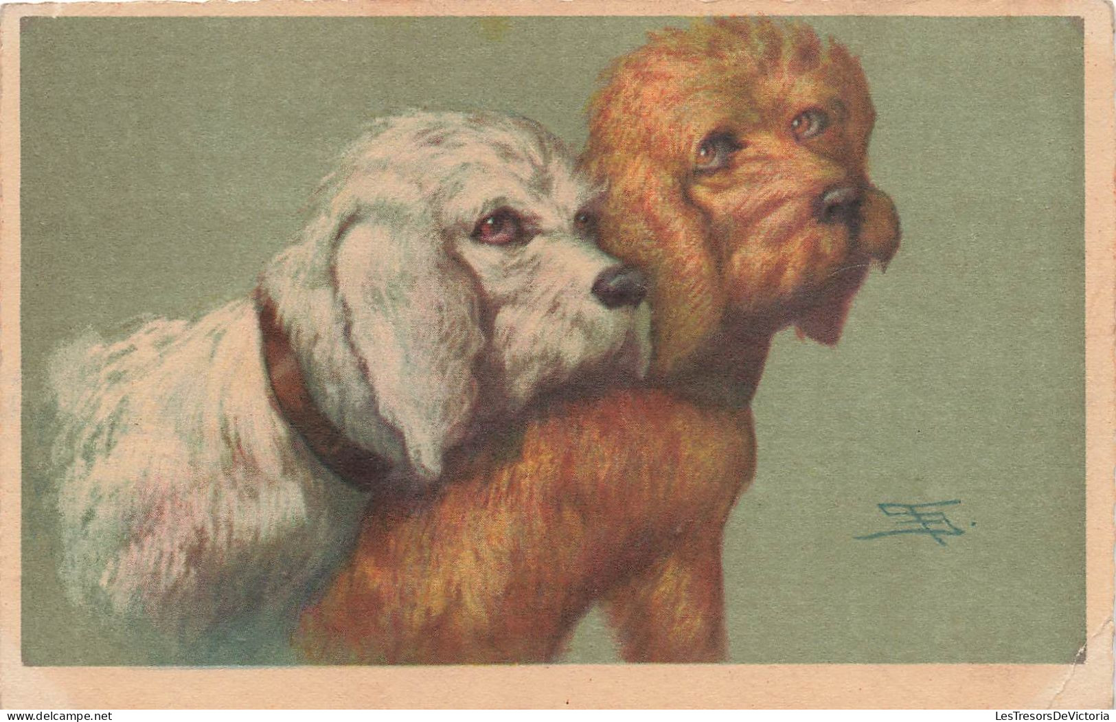 ANIMAUX - Chiens - Deux Caniches - Blanc Et Roux - Carte Postale Ancienne - Hunde