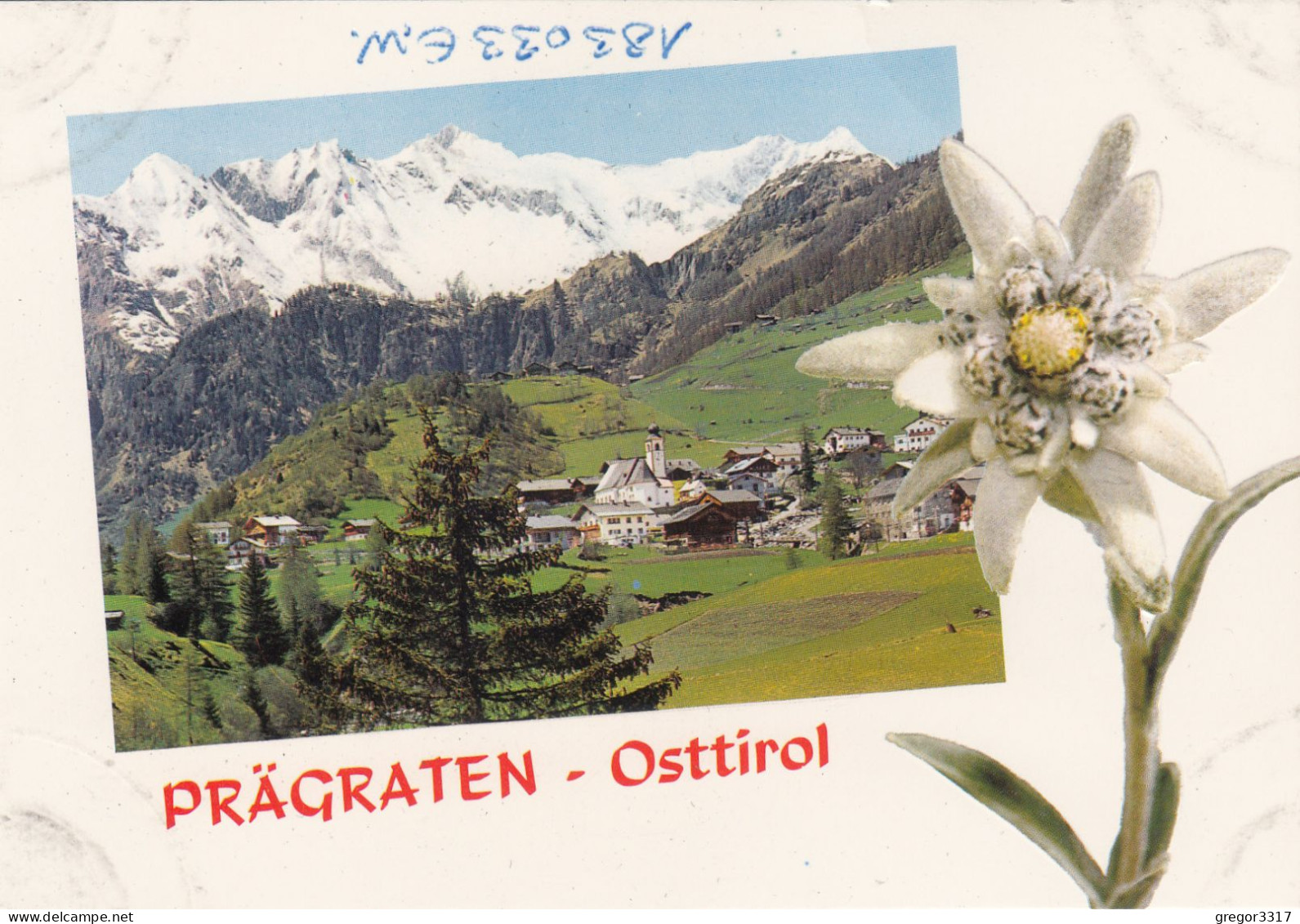 D7544) PRÄGRATEN - Osttirol - Edelweiß - Präge AK - Prägraten