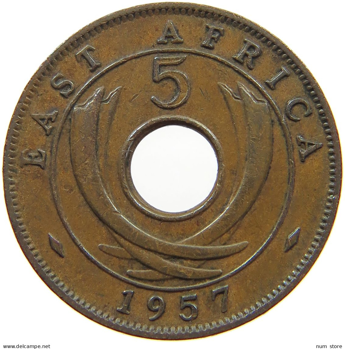 EAST AFRICA 5 CENTS 1957 Elizabeth II. (1952-2022) #a095 0141 - Ostafrika Und Herrschaft Von Uganda