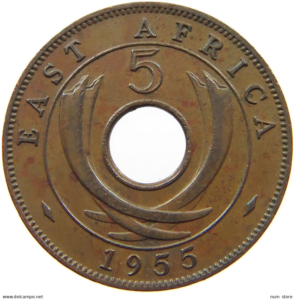 EAST AFRICA 5 CENTS 1955 Elizabeth II. (1952-2022) #a095 0211 - Afrique Orientale & Protectorat D'Ouganda