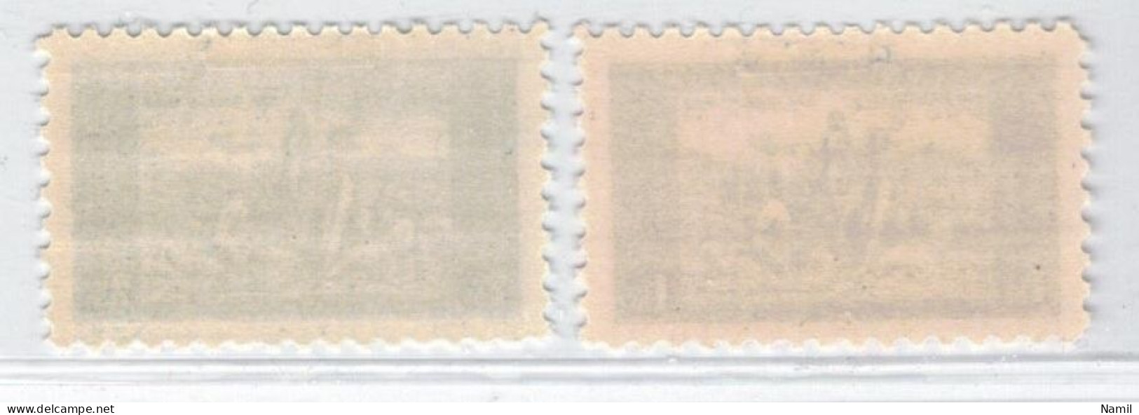 Tchécoslovaquie 1934 Mi 330-1w (Yv 290-1), (MH)* Trace De Charniere Propre - Nuevos