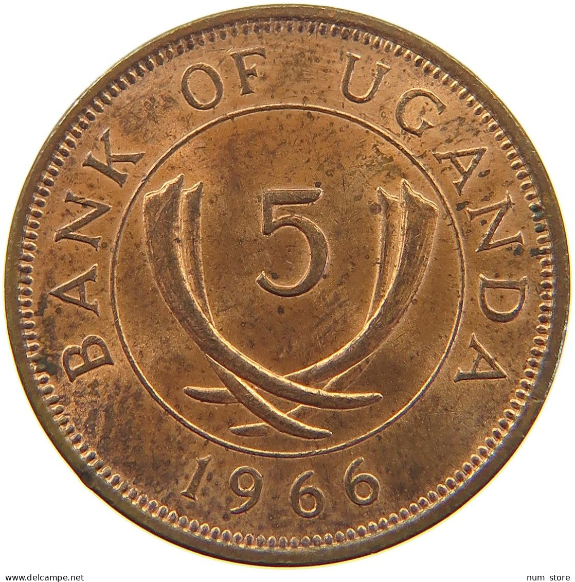 UGANDA 5 CENTS 1966  #c081 0371 - Oeganda