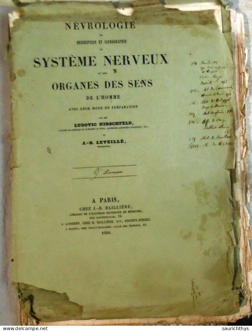 Geologia Mineralogia Documenti Autografi Del Senatore Costantino Perazzi Senato Del Regno - Historische Personen