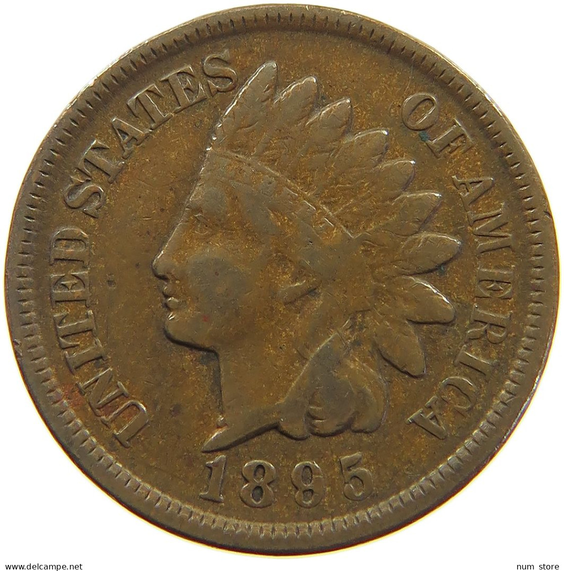 UNITED STATES OF AMERICA CENT 1895 INDIAN HEAD #a063 0253 - 1859-1909: Indian Head