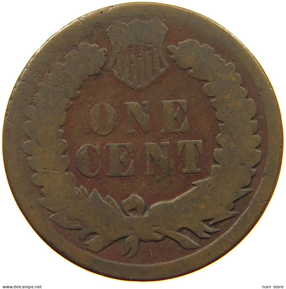 UNITED STATES OF AMERICA CENT 1893 INDIAN HEAD #s063 0265 - 1859-1909: Indian Head