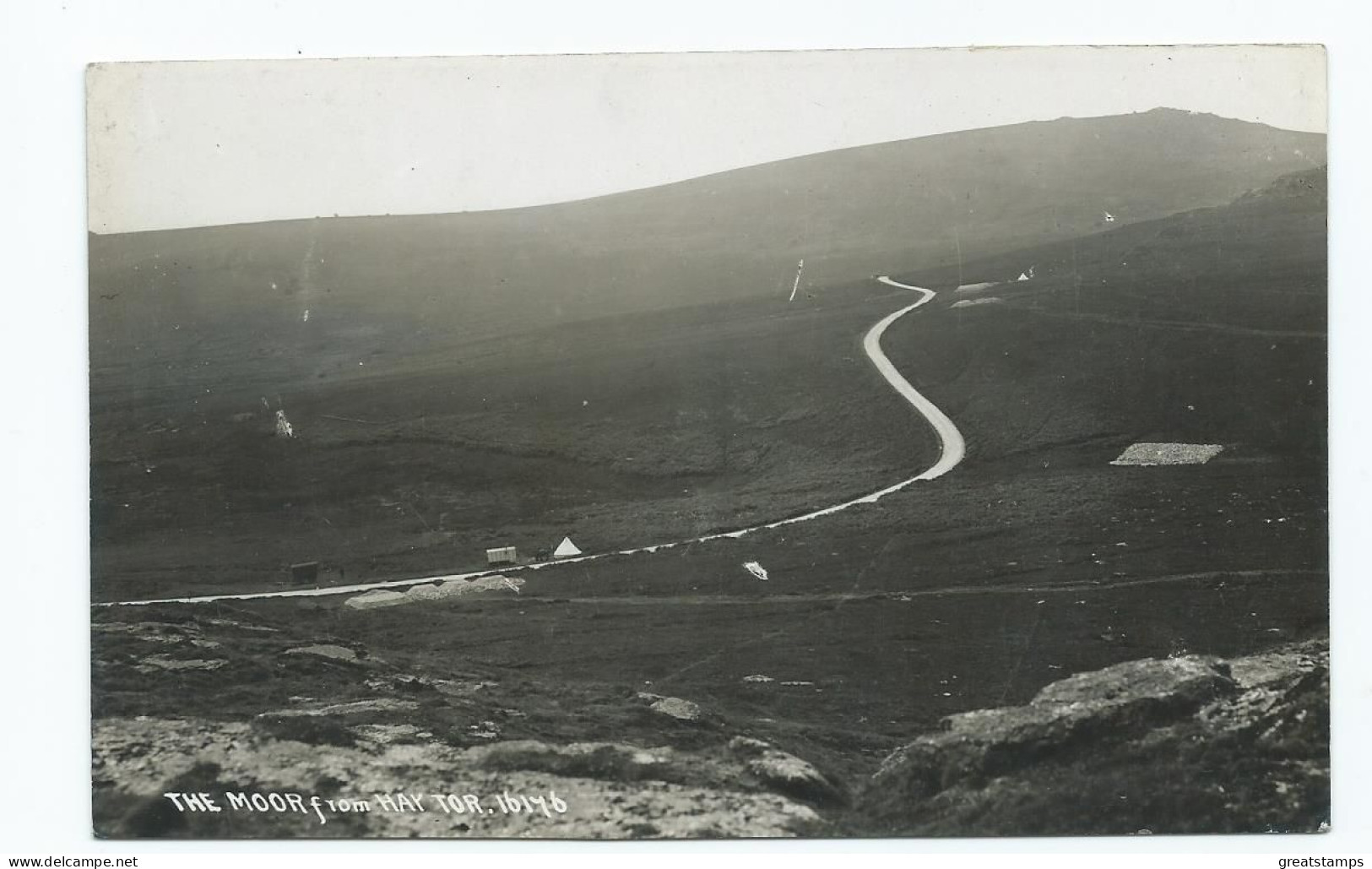 Devon Postcard Rp Hay Tor The Moor . Unused. Chapman - Dartmoor