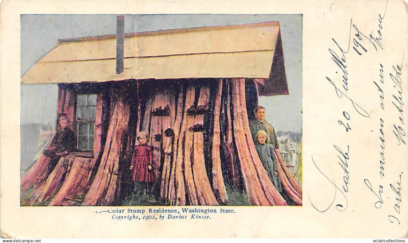 U S A    Washington State     Cedar Stump Résidence.        (voir Scan) - Sonstige & Ohne Zuordnung