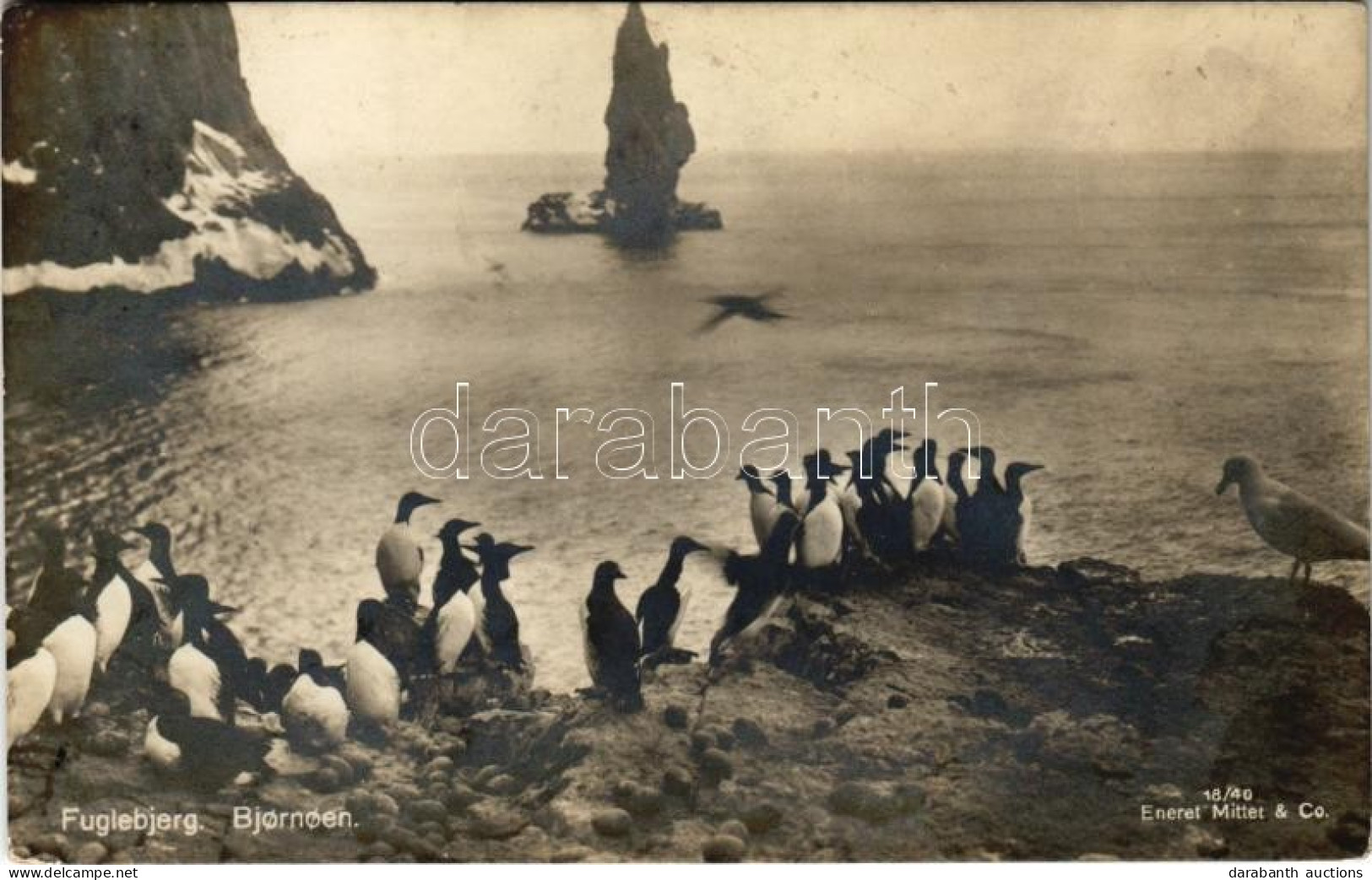 * T2/T3 Flugebjerg, Bjornoen / Group Of Penguins On The Coast. Eneret Mittet & Co. 18/40. - Non Classés