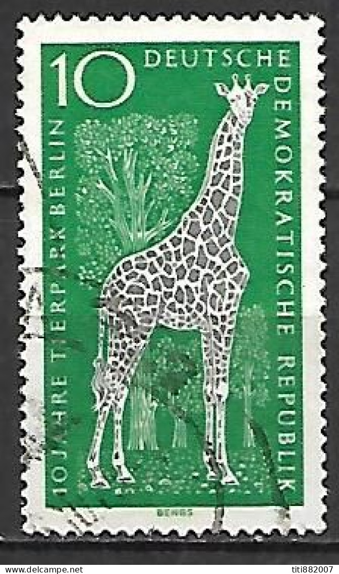 RDA   /   DDR.   -    GIRAFE     -    Oblitéré - Giraffe