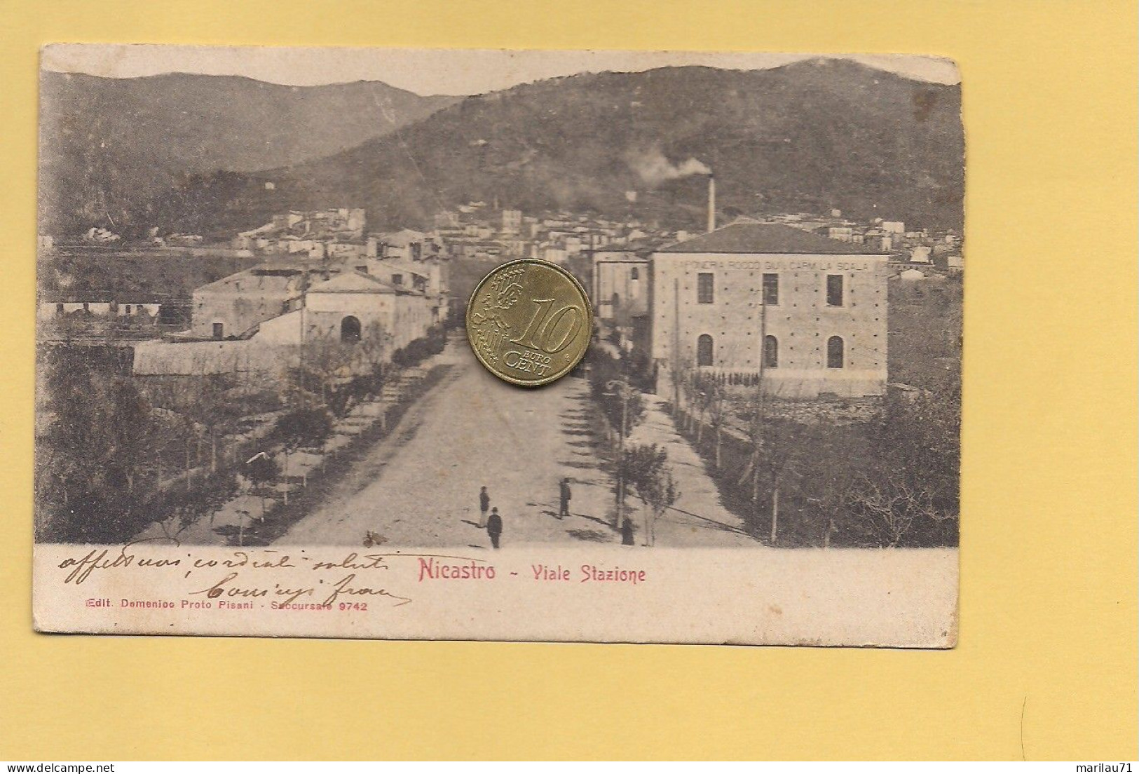 P3431 Calabria NICASTRO LAMEZIA TERME Catanzaro 1904 Viaggiata - Lamezia Terme